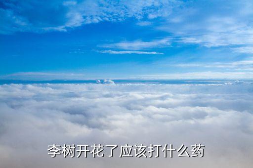 李樹開花了應該打什么藥