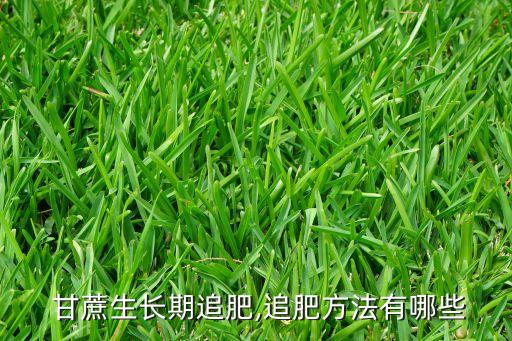 甘蔗什么時候灑農藥,什么時候灑農藥好