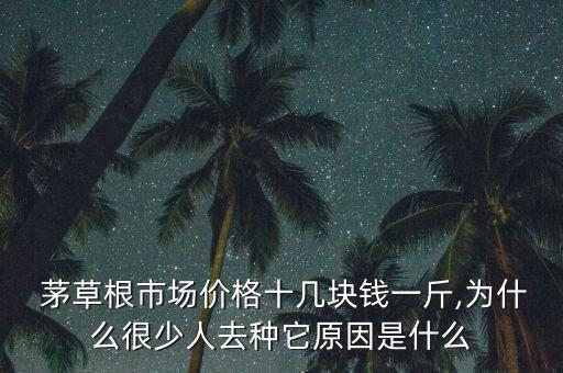茅草根市場價格十幾塊錢一斤,為什么很少人去種它原因是什么