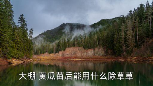 黃瓜苗期打什么農藥好,黃瓜一般打什么農藥