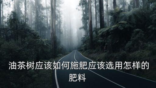 油茶保果用什么農藥,橘子保果打什么農藥