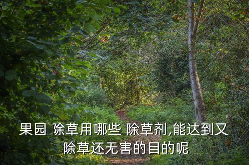 什么農(nóng)藥除草不傷果樹根,冬天用什么農(nóng)藥除草