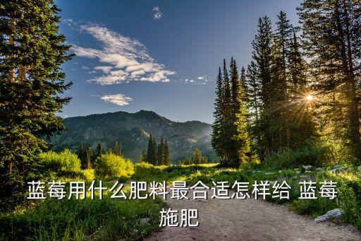 藍莓開花結果打什么農藥,藍莓什么季節開花結果