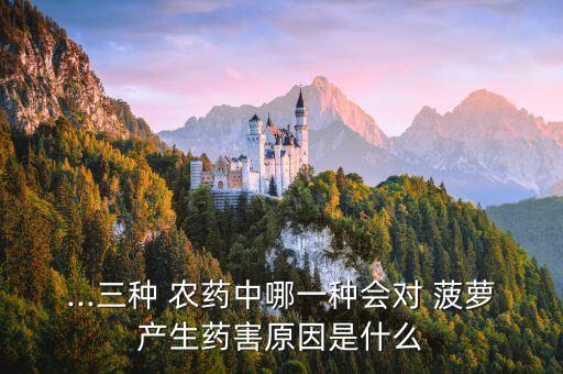 打菠蘿用什么農藥好,菠蘿和什么一起打汁