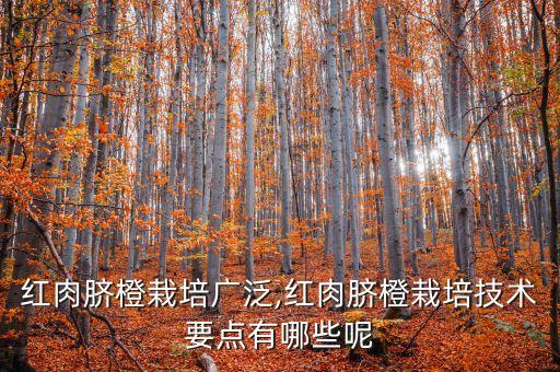 紅肉臍橙栽培廣泛,紅肉臍橙栽培技術要點有哪些呢