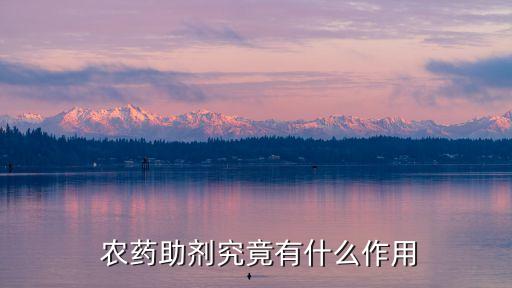  農藥助劑究竟有什么作用