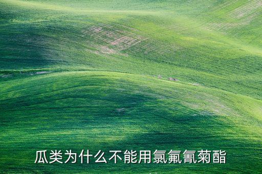 伏蚜用什么農藥,栗大蚜用什么農藥效果最好