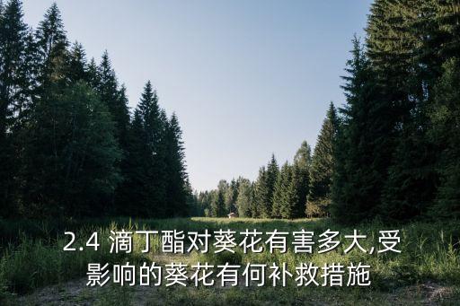 ,農藥2.4滴丁酯什么作用