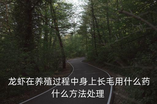 龍蝦用什么農藥打最好,一般什么時間打農藥最好