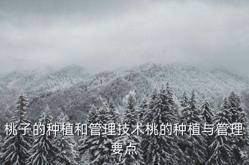桃子的種植和管理技術(shù)桃的種植與管理要點(diǎn)