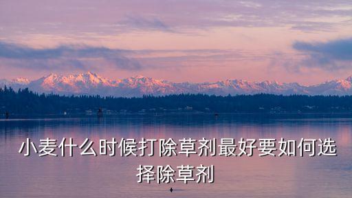 小麥打農藥什么時間打好,什么農藥讓小麥不結粒