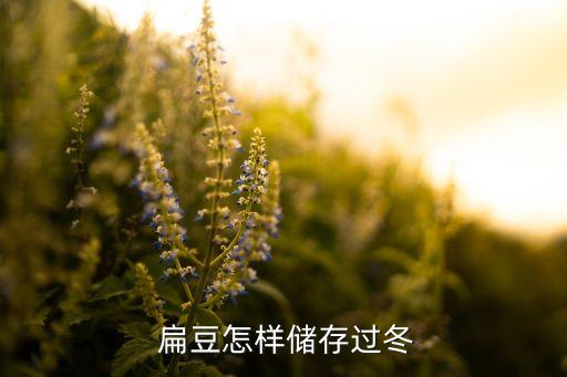 扁豆角用什么農藥最好,扁豆和什么搭配最好