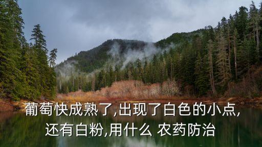 葡萄上什么農藥,葡萄打那么多農藥還能吃嗎