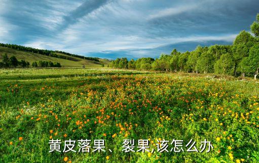 黑黃皮噴什么農藥,什么綠色適合黑黃皮