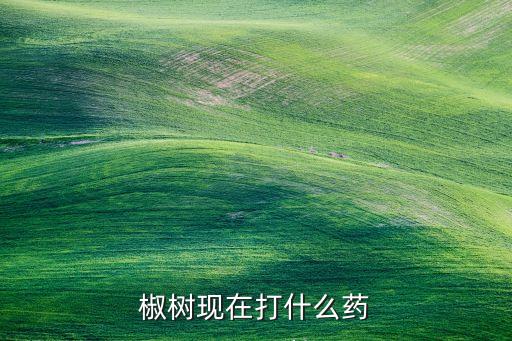 椒樹現在打什么藥