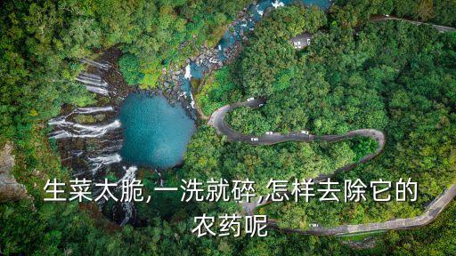 為什么生菜農藥味很重,生菜味苦是為什么?