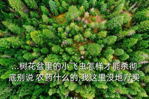 金桔長蟲了用什么農藥殺蟲