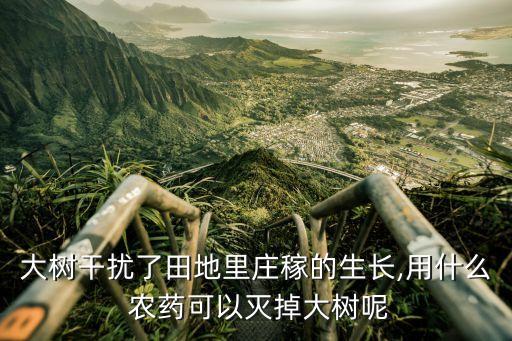 什么農(nóng)藥不往樹上噴,馬路樹上噴的是水還是農(nóng)藥