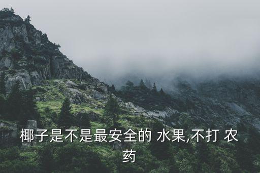 椰子是不是最安全的 水果,不打 農(nóng)藥