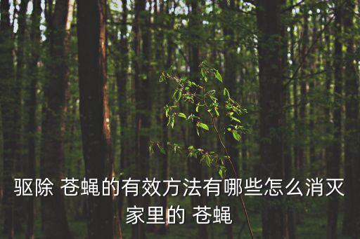 驅除 蒼蠅的有效方法有哪些怎么消滅家里的 蒼蠅