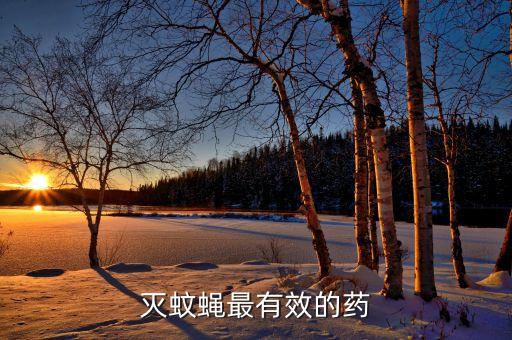 滅蚊蠅最有效的藥