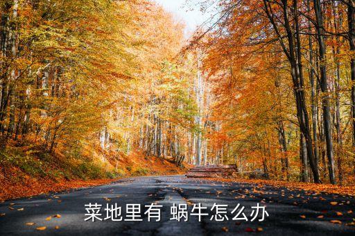 菜地里有 蝸牛怎么辦