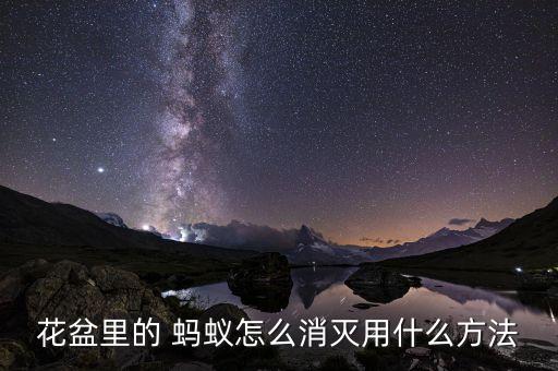 植物上有螞蟻噴什么農藥