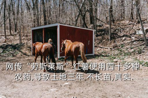 什么農藥幾年都不長東西