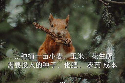 農藥種植什么成本比較好,鄉村種植,打農藥,成本費