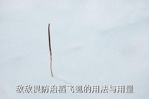 敵敵畏防治稻飛虱的用法與用量