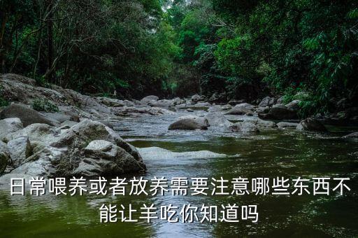 日常喂養(yǎng)或者放養(yǎng)需要注意哪些東西不能讓羊吃你知道嗎