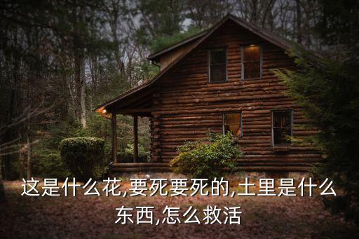 農(nóng)藥金尊有什么作用