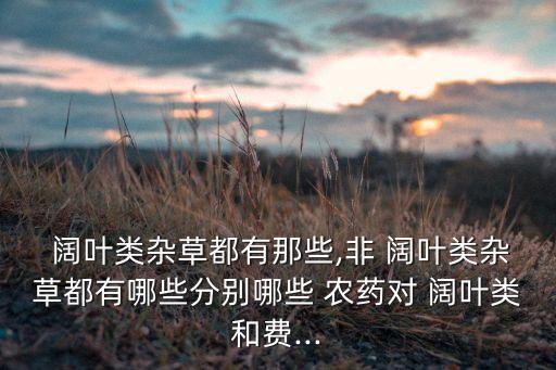 用什么農藥打闊葉草,闊葉草有什么好處呢