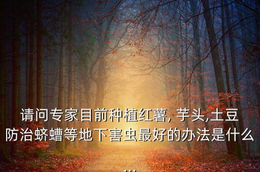 種芋頭要打什么農(nóng)藥,芋頭種在什么地方最好