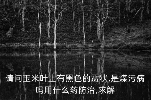 請問玉米葉上有黑色的霉狀,是煤污病嗎用什么藥防治,求解