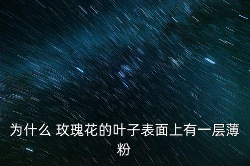 玫瑰白粉病用什么農藥防治,白粉病用什么農藥效果好