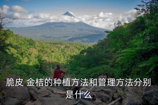 脆皮 金桔的種植方法和管理方法分別是什么