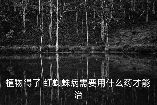 樹苗紅蜘蛛用什么農藥,紅蜘蛛打什么農藥效果好