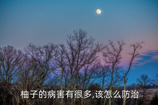 柚子修剪后打什么農藥,柚子什么季節修剪