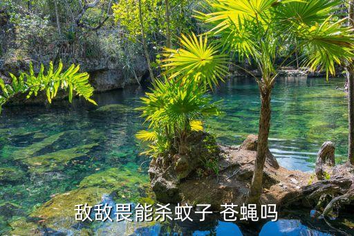 敵敵畏能殺蚊子 蒼蠅嗎