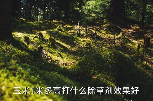 玉米1米多高打什么除草劑效果好