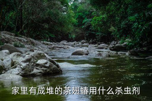 蝽蟓什么農(nóng)藥可以打死,盲蝽蟓用什么農(nóng)藥最好