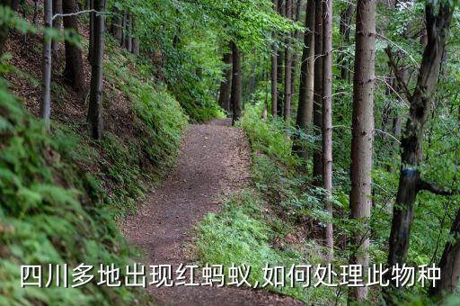 什么農(nóng)藥對(duì)紅蟻有用,噴什么農(nóng)藥可以殺死紅蟻