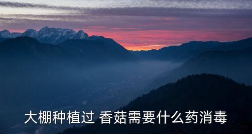 香菇最怕什么農藥,獾子怕什么農藥