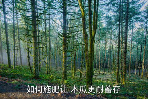 如何施肥讓 木瓜更耐蓄存