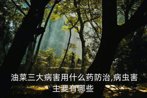 油菜最怕什么農藥,獾子怕什么農藥