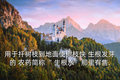 用于扦樹枝到地面使樹枝快 生根發芽的 農藥簡稱“ 生根水”那里有售...