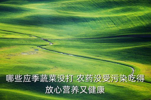 夏天北方種什么菜農(nóng)藥少,夏天適合種什么菜最方便