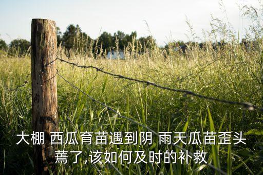 西瓜用什么農藥殺蟲,西瓜雨天噴什么農藥好