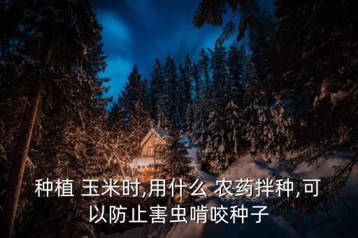 玉米苗期噴什么農(nóng)藥好些,玉米一般打什么農(nóng)藥